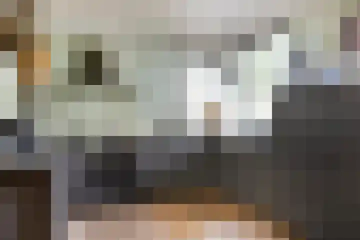 De Waaij 1 Heumen thumbnail 11