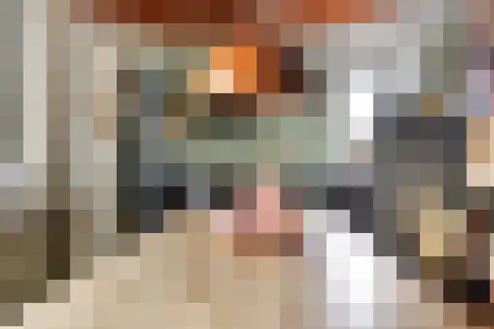 De Waaij 1 Heumen thumbnail 14