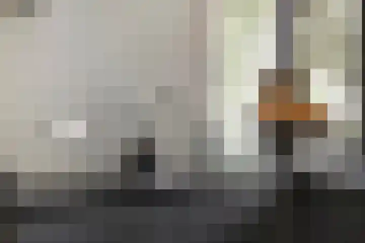 De Waaij 1 Heumen thumbnail 15