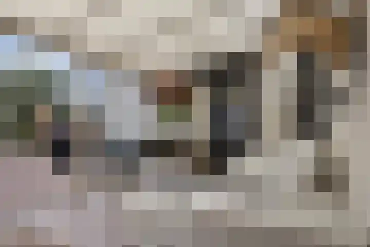 De Waaij 1 Heumen thumbnail 17