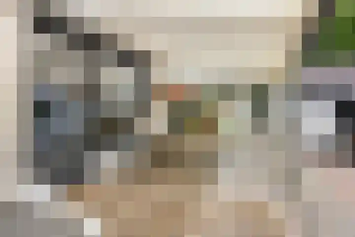 De Waaij 1 Heumen thumbnail 19