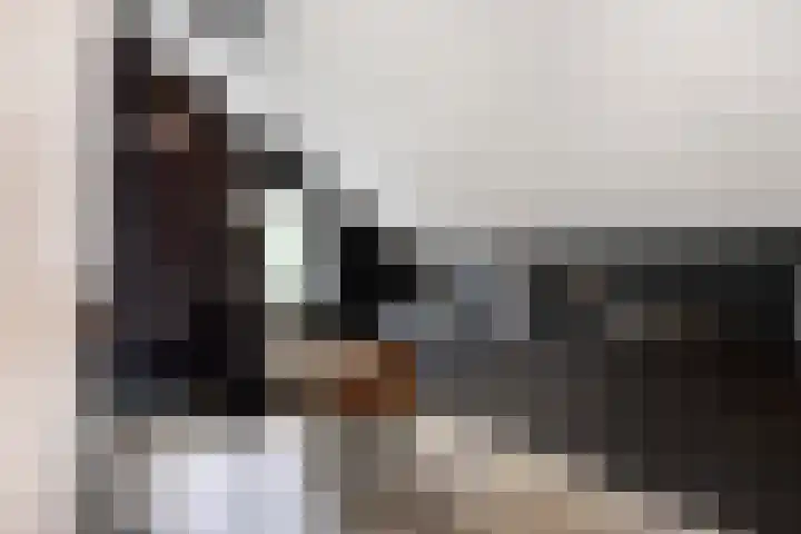 De Waaij 1 Heumen thumbnail 23