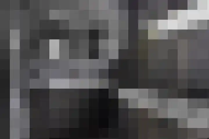 De Waaij 1 Heumen thumbnail 24