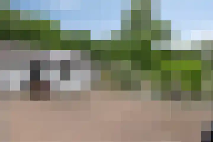 De Waaij 1 Heumen thumbnail 29