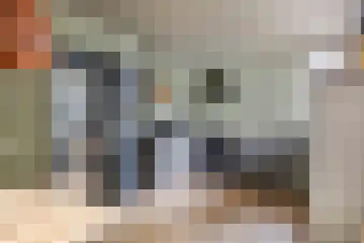 De Waaij 1 Heumen foto 3