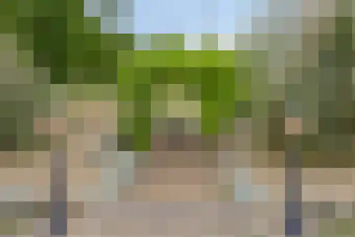 De Waaij 1 Heumen thumbnail 30