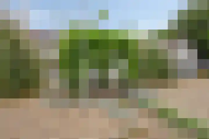 De Waaij 1 Heumen thumbnail 31