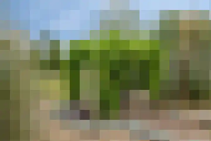 De Waaij 1 Heumen thumbnail 32