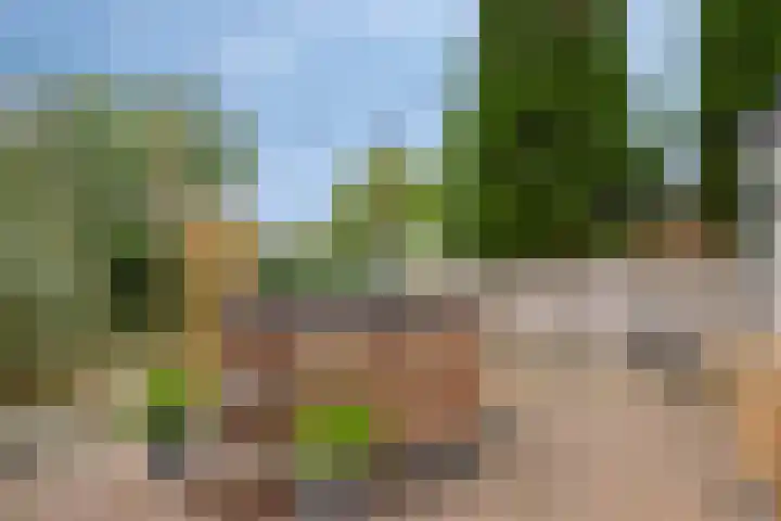 De Waaij 1 Heumen thumbnail 35