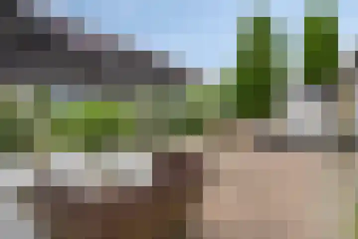 De Waaij 1 Heumen thumbnail 36