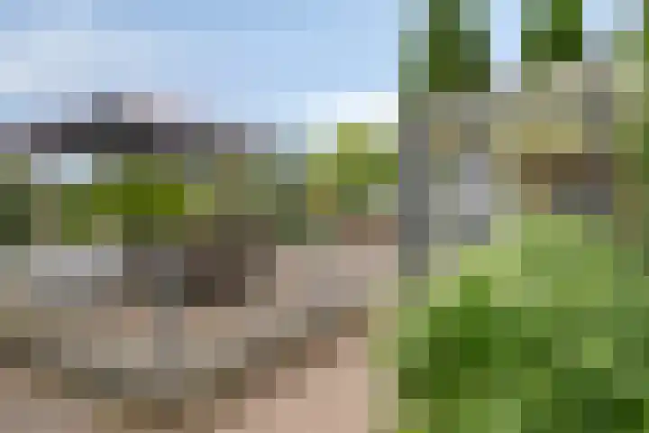 De Waaij 1 Heumen thumbnail 37