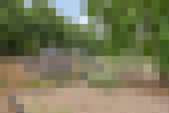 De Waaij 1 Heumen thumbnail 38