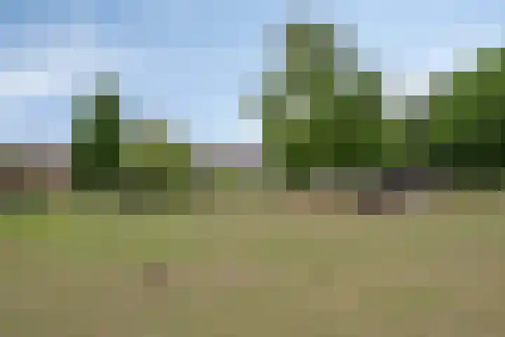 De Waaij 1 Heumen thumbnail 39
