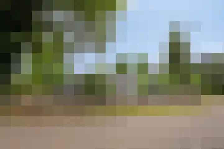 De Waaij 1 Heumen thumbnail 42