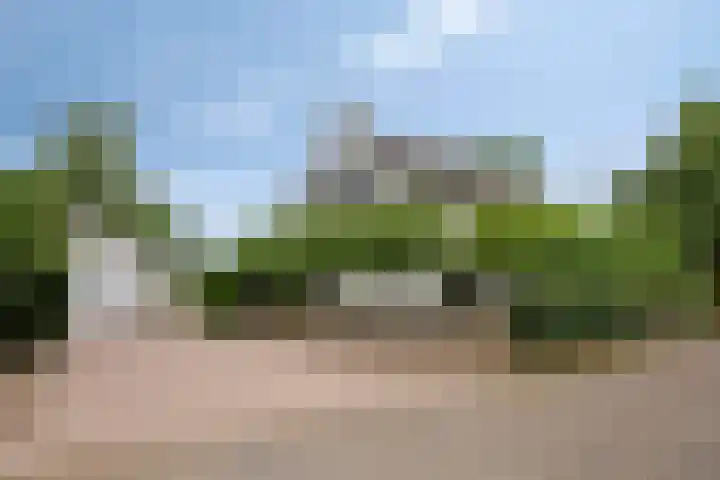 De Waaij 1 Heumen thumbnail 50