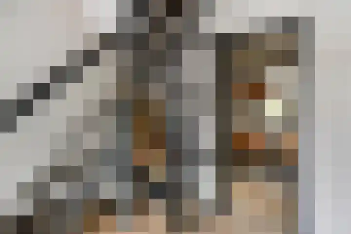 De Waaij 1 Heumen thumbnail 6