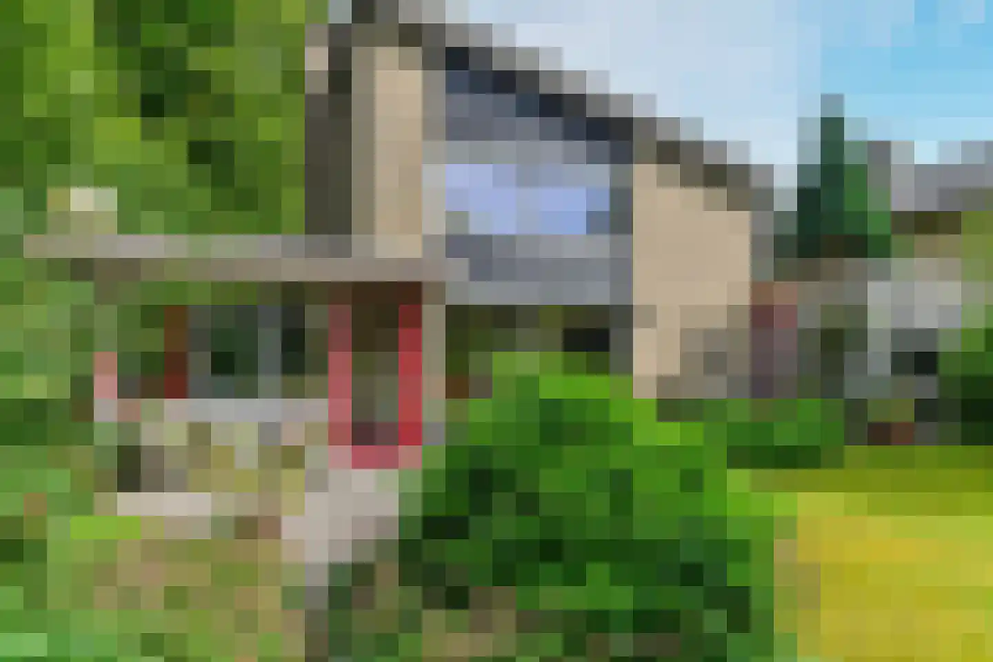 de Waaijenberg 16 Doorwerth thumbnail 28