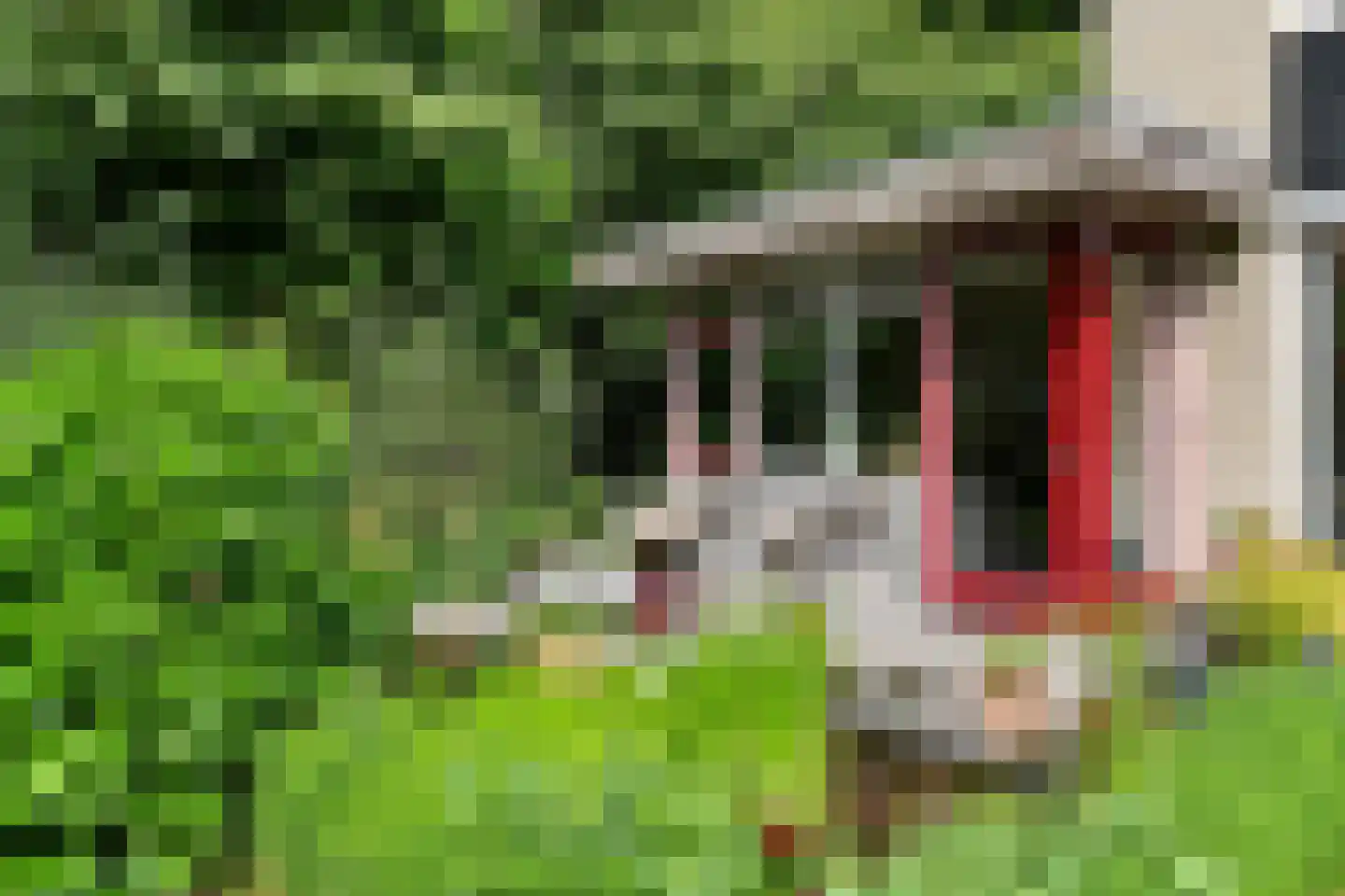 de Waaijenberg 16 Doorwerth thumbnail 29