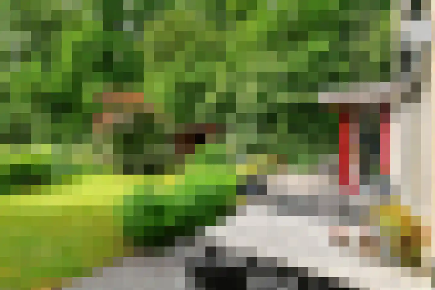 de Waaijenberg 16 Doorwerth thumbnail 30