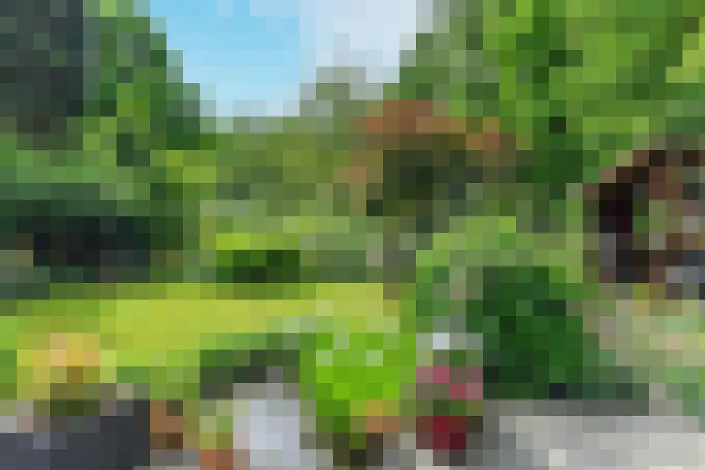 de Waaijenberg 16 Doorwerth thumbnail 31