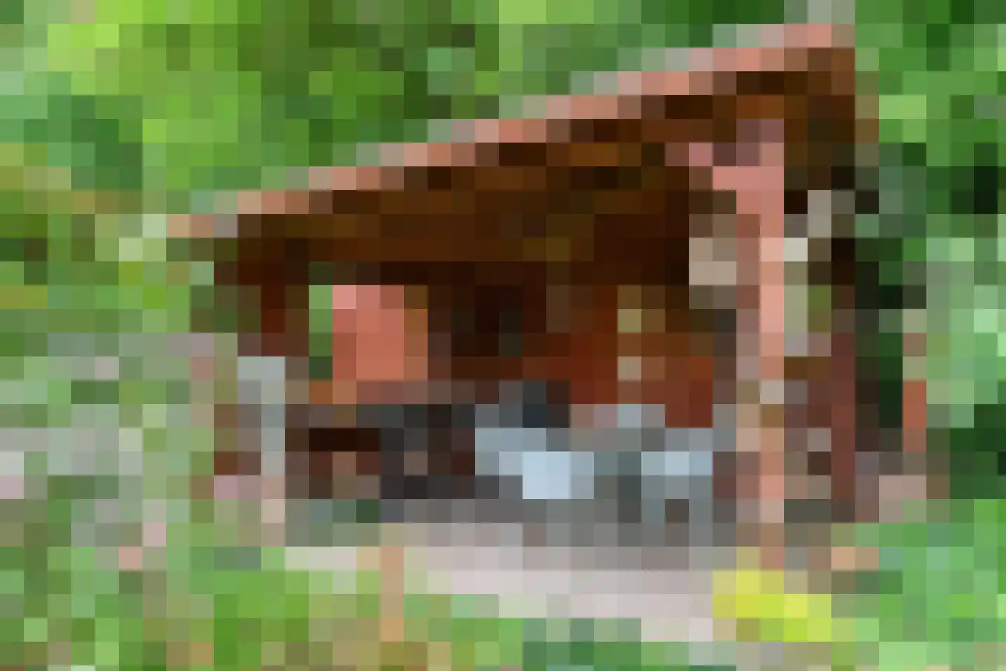 de Waaijenberg 16 Doorwerth thumbnail 32