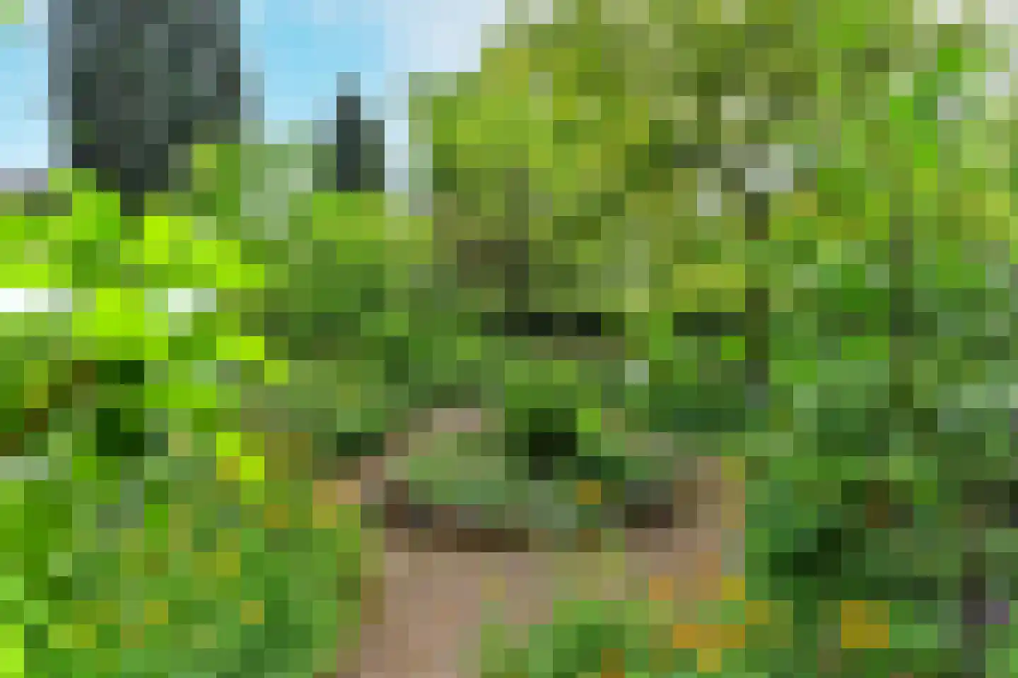 de Waaijenberg 16 Doorwerth thumbnail 33