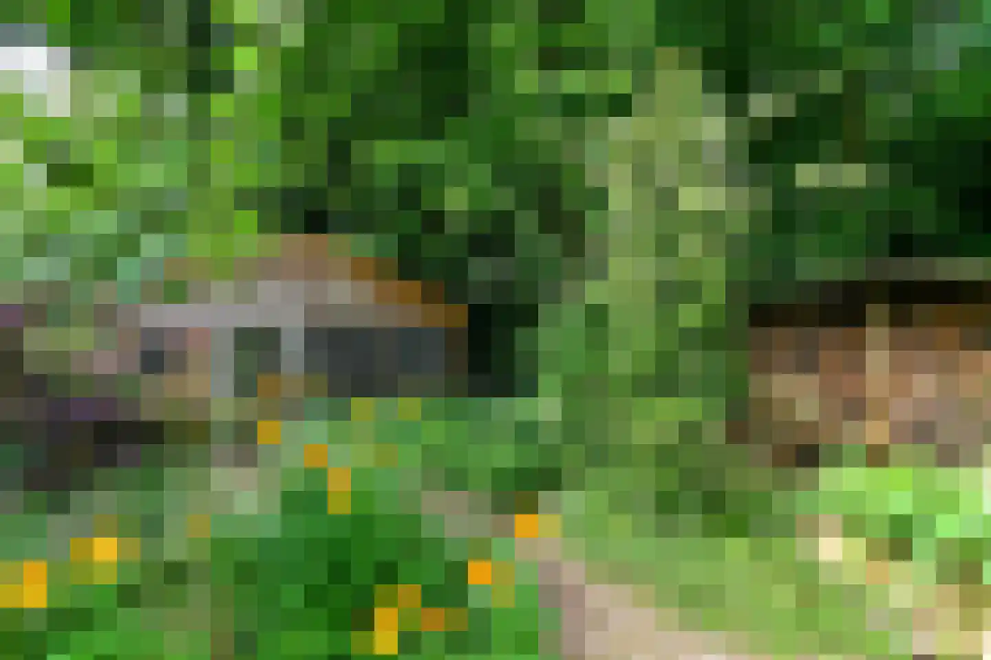 de Waaijenberg 16 Doorwerth thumbnail 34