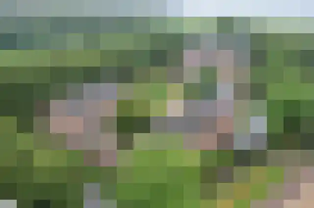 de Waaijenberg 16 Doorwerth thumbnail 39