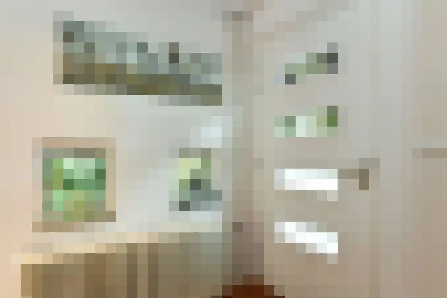 de Waaijenberg 16 Doorwerth thumbnail 7