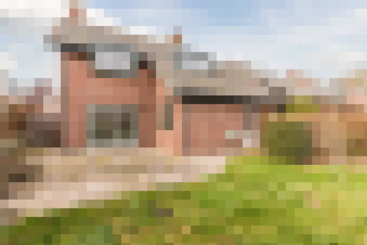 De Waaikamp 5 Stevensweert thumbnail 42