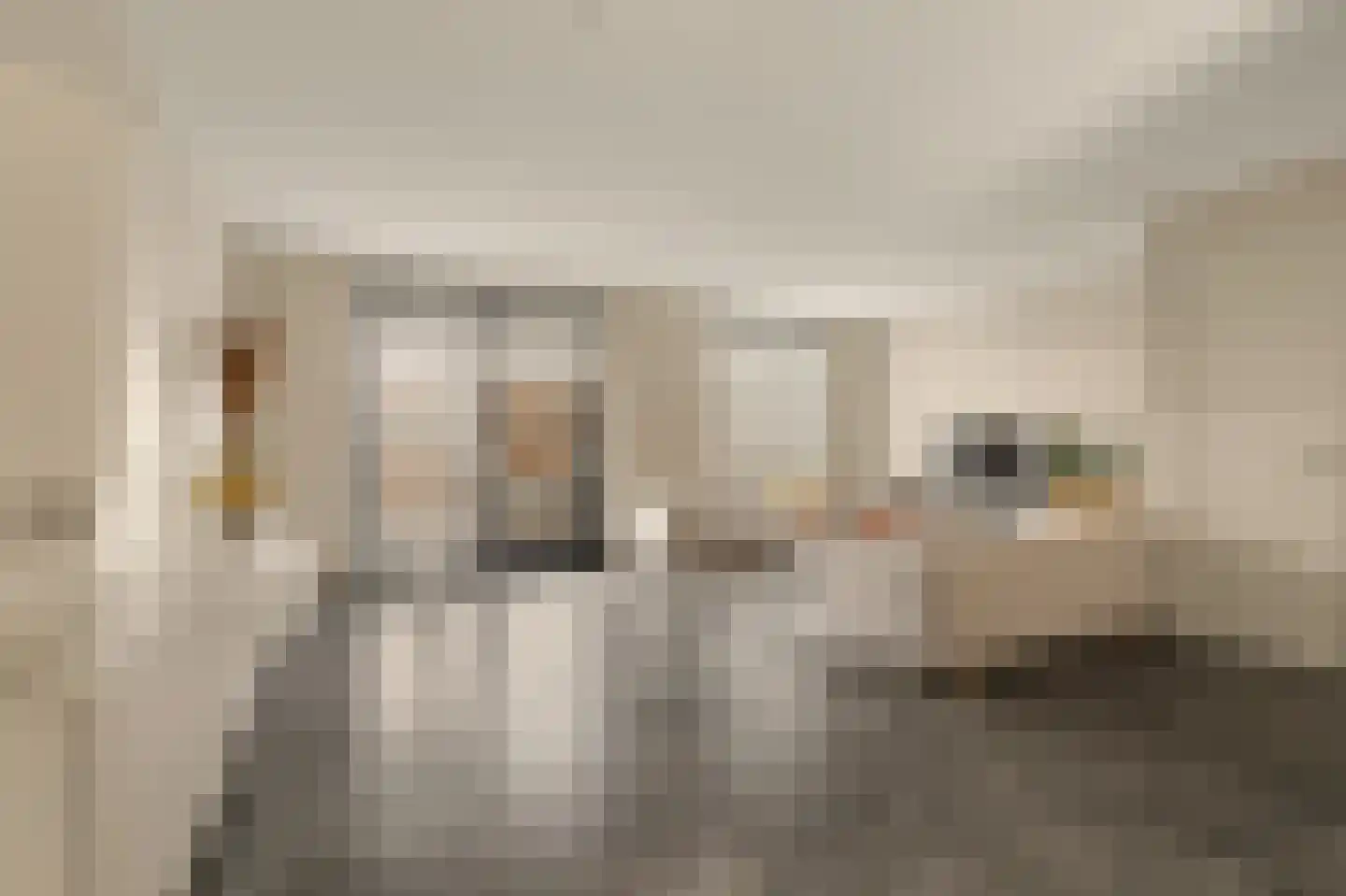 De Waal 15 Rijnsburg thumbnail 15