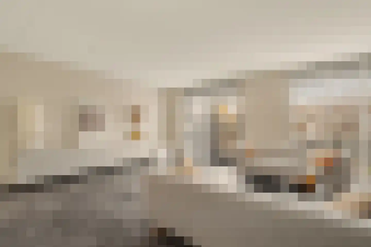 De Waal 15 Rijnsburg thumbnail 17
