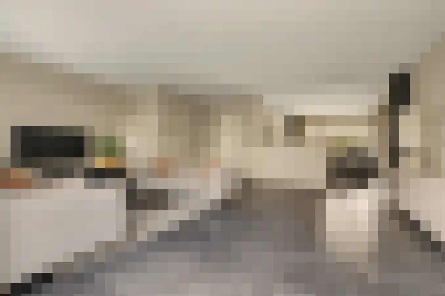 De Waal 15 Rijnsburg thumbnail 18