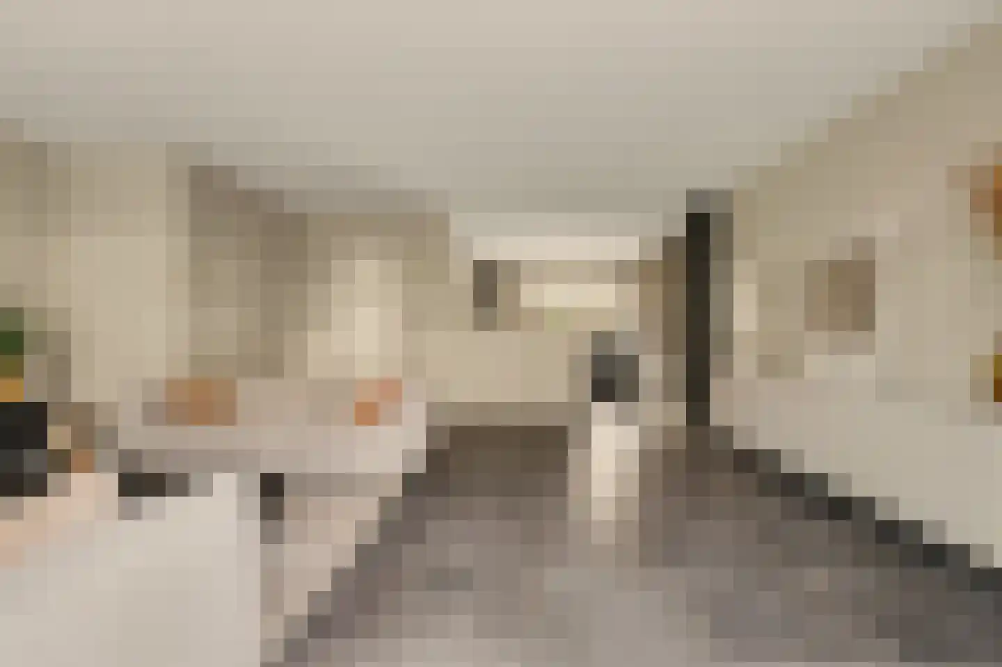 De Waal 15 Rijnsburg thumbnail 20