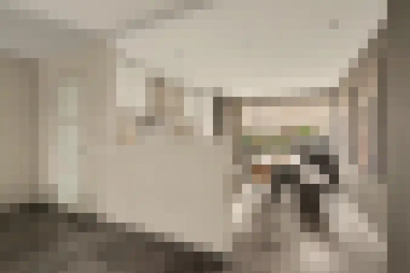 De Waal 15 Rijnsburg thumbnail 21