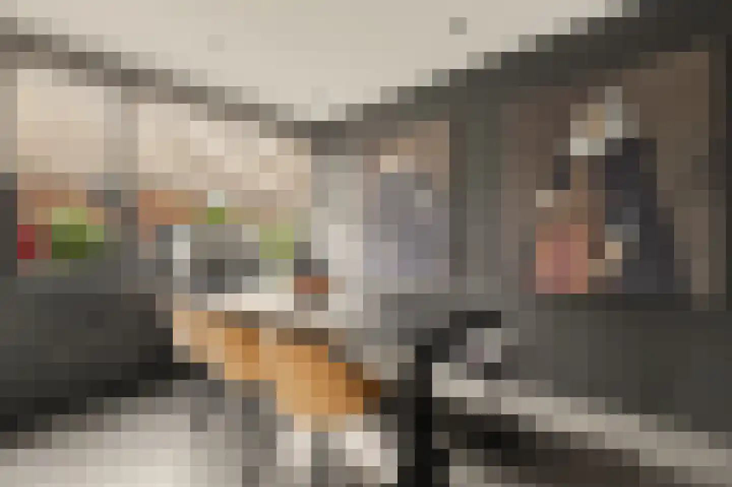 De Waal 15 Rijnsburg thumbnail 25