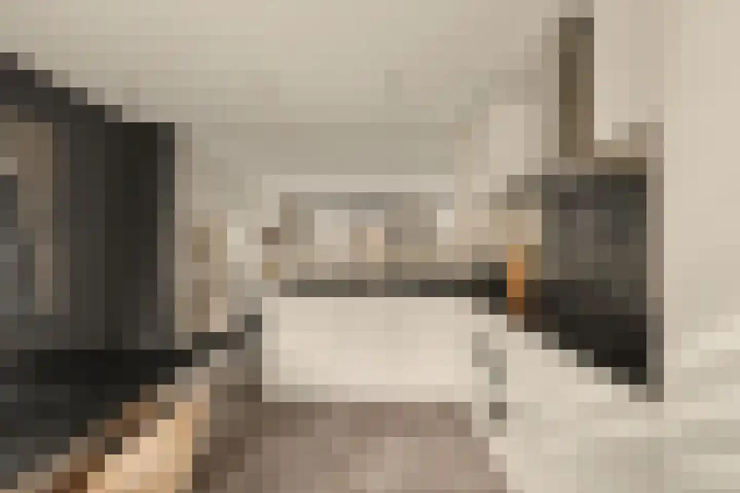 De Waal 15 Rijnsburg thumbnail 26