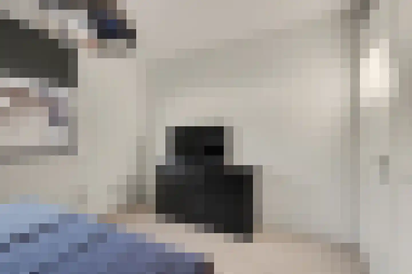 De Waal 15 Rijnsburg thumbnail 29