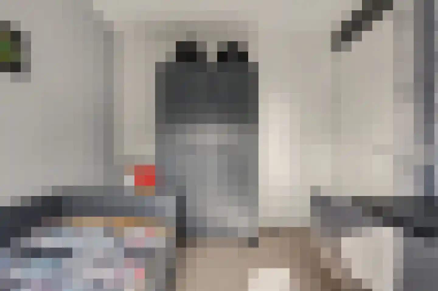 De Waal 15 Rijnsburg thumbnail 31