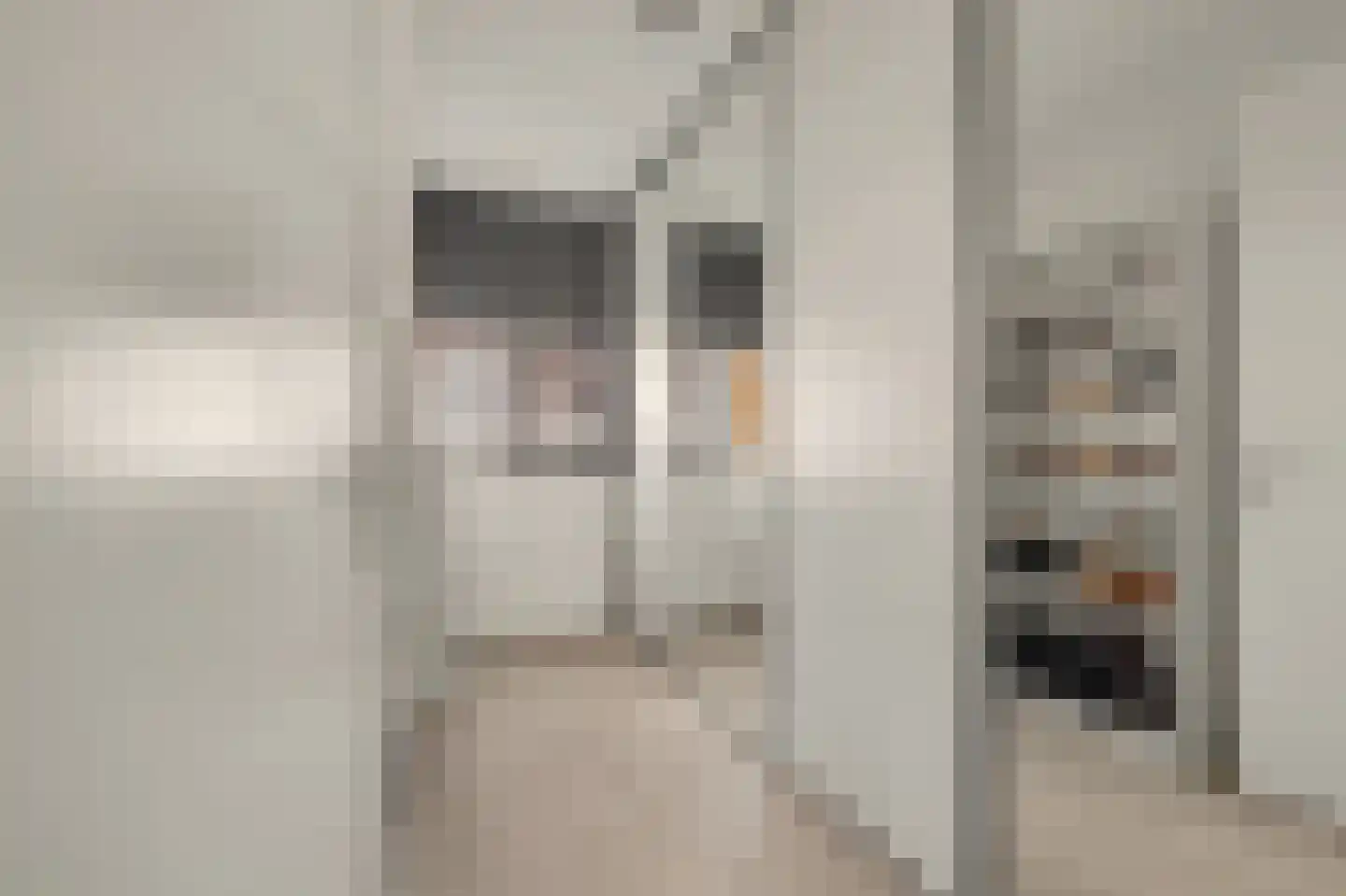 De Waal 15 Rijnsburg thumbnail 34
