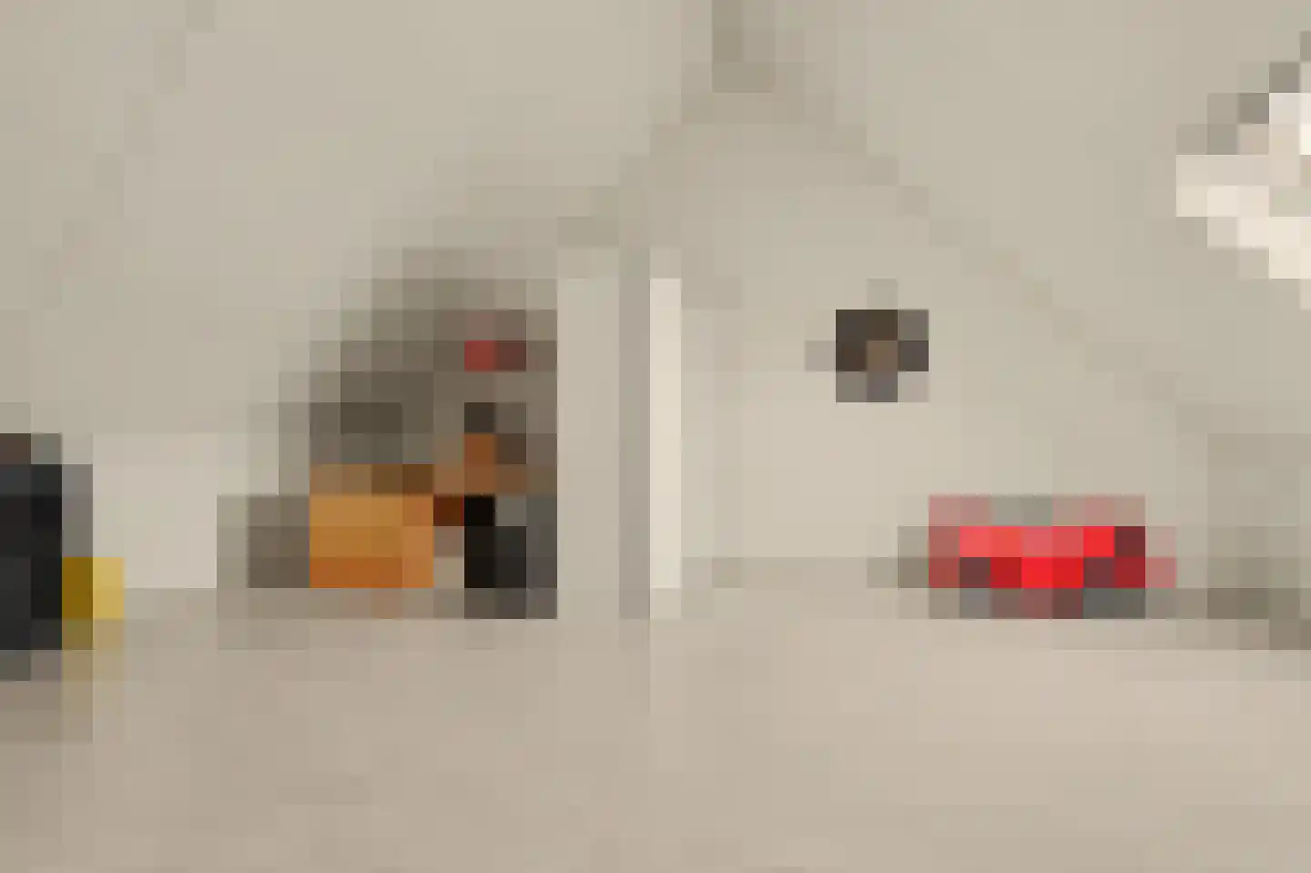 De Waal 15 Rijnsburg thumbnail 37
