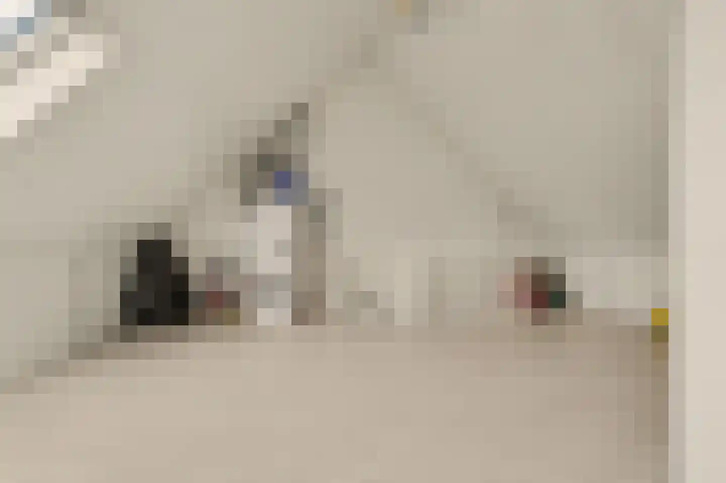 De Waal 15 Rijnsburg thumbnail 38