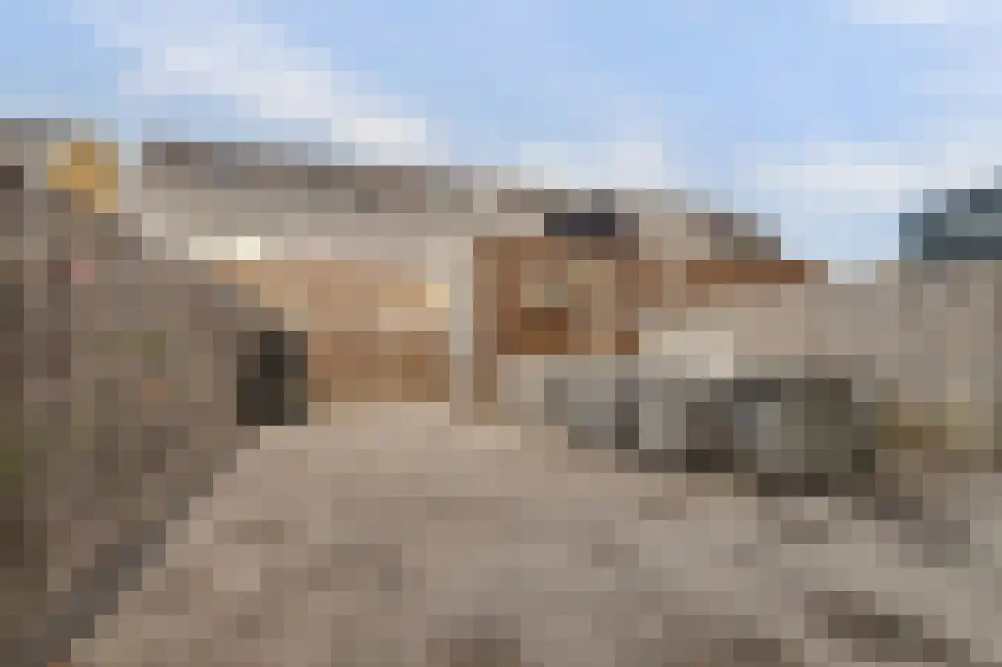 De Waal 15 Rijnsburg thumbnail 42