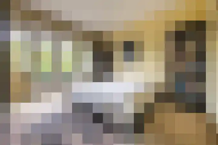 De Waal Malefijtlaan 6 Aerdenhout thumbnail 19