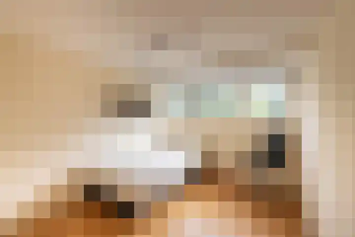 De Waal Malefijtlaan 6 Aerdenhout thumbnail 25