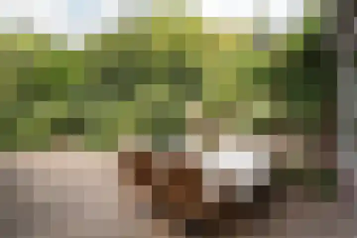 De Waal Malefijtlaan 6 Aerdenhout thumbnail 30