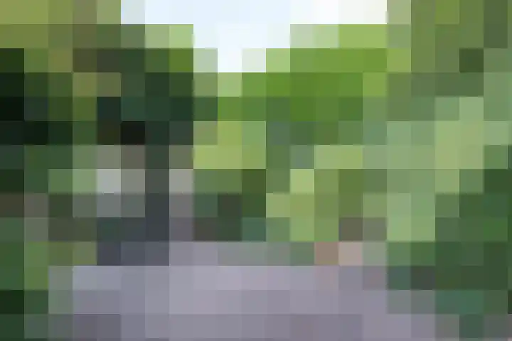 De Waal Malefijtlaan 6 Aerdenhout thumbnail 31