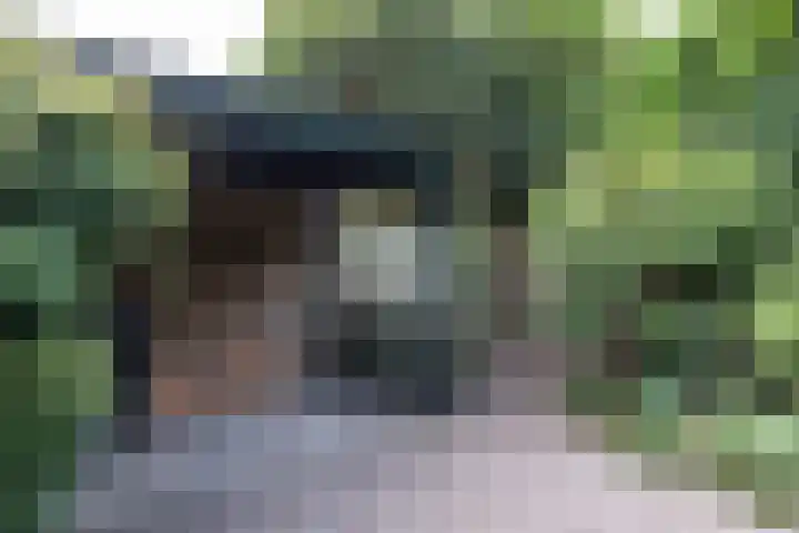 De Waal Malefijtlaan 6 Aerdenhout thumbnail 32