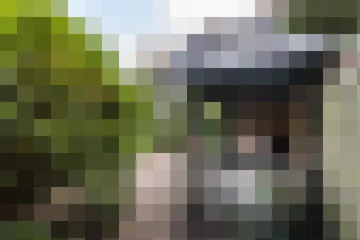De Waal Malefijtlaan 6 Aerdenhout thumbnail 33