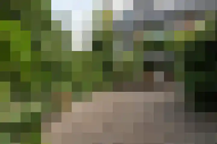 De Waal Malefijtlaan 6 Aerdenhout thumbnail 34